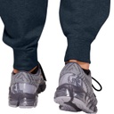 Штани спортивні ASICS BIG LOGO SWEAT PANT 2031A977-409
