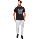 Футболка ASICS SMSB GRAPHIC TEE IV 2031C523-001