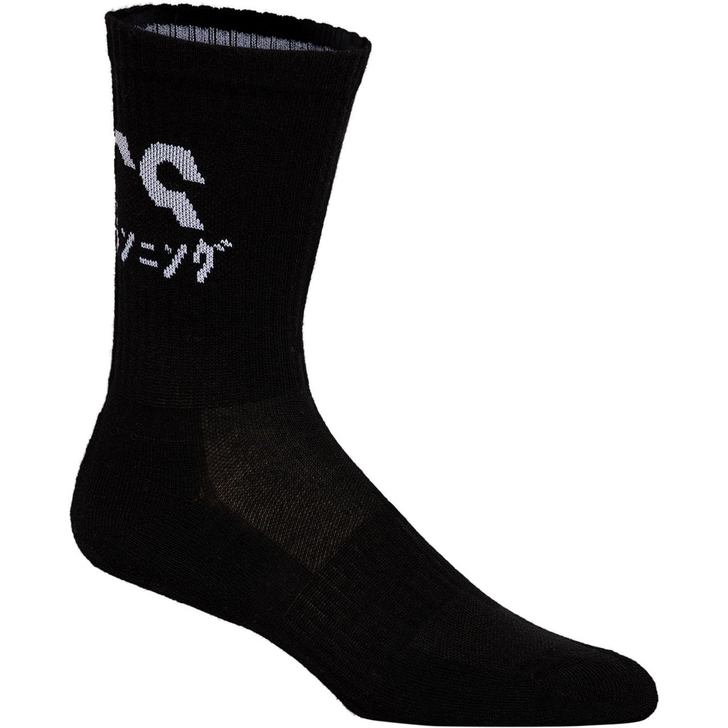 Шкарпетки ASICS 2PPK KATAKANA SOCK 3013A453-002
