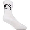 Шкарпетки ASICS 2PPK KATAKANA SOCK 3013A453-002