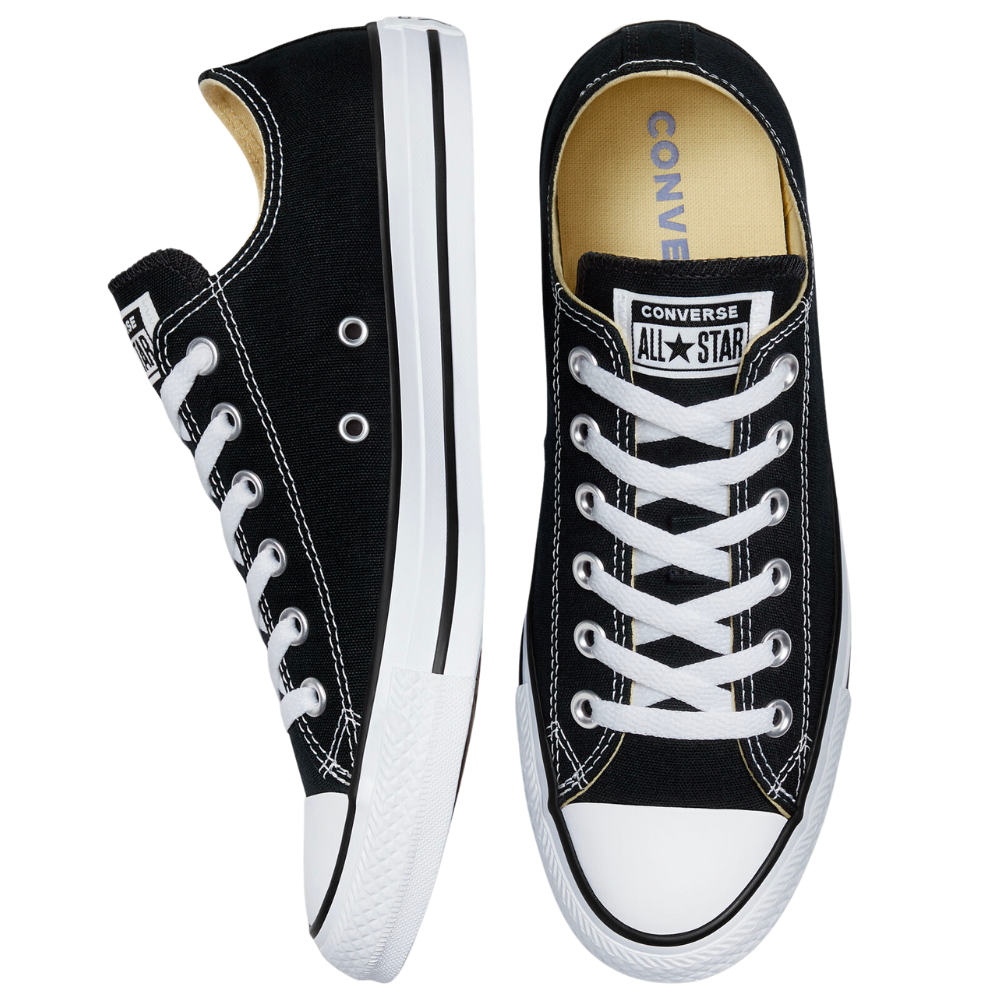 Кеди Converse Chuck Taylor All Star M9166C-001