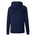 Чоловіче худі PUMA TEAMGOAL 23 CASUALS HOODIE  65658006
