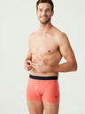 Трусы мужские мужские набор 3 шт. U.S. POLO ASSN 80170 Мятный/Коралловый/Оранжевый