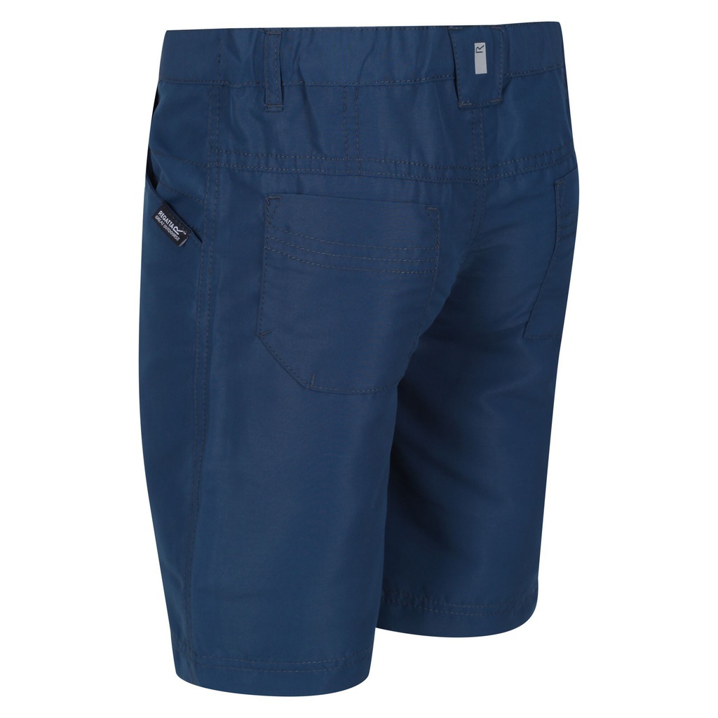 Шорти Regatta Sorcer Shorts II RKJ106-ZV7 Синій
