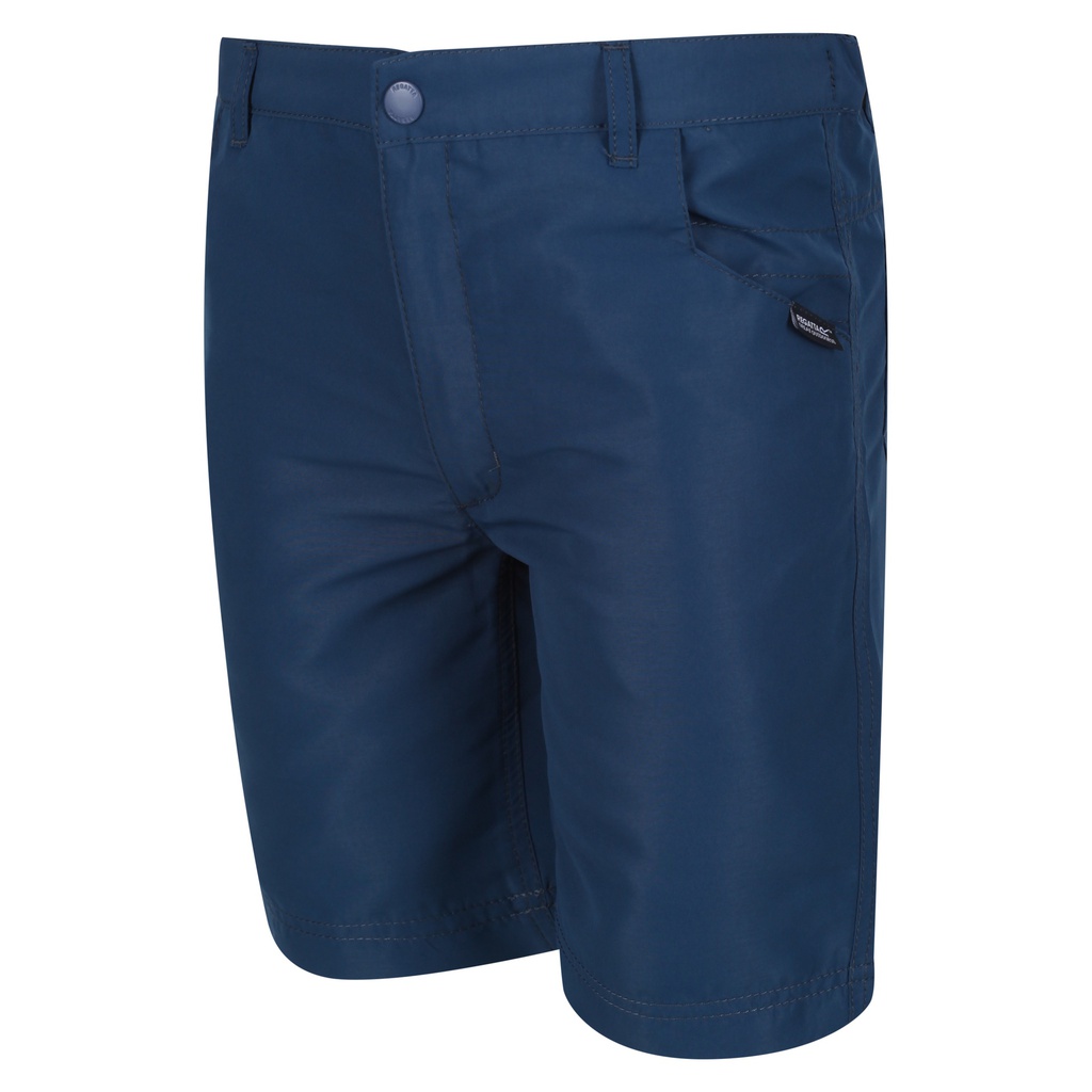 Шорти Regatta Sorcer Shorts II RKJ106-ZV7 Синій