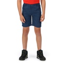 Шорти Regatta Sorcer Shorts II RKJ106-ZV7 Синій