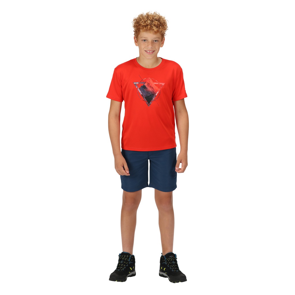Шорти Regatta Sorcer Shorts II RKJ106-ZV7 Синій