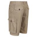 Шорти Regatta Shorebay Short RMJ221-3HE Бежево-сірий