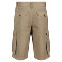 Шорти Regatta Shorebay Short RMJ221-3HE Бежево-сірий
