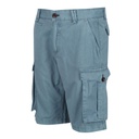 Шорти Regatta Shorebay Short RMJ221-TDE Світло-синій