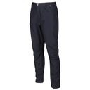 Штани літо Regatta Delgado Trousers RMJ231R-038 Темно-сірий