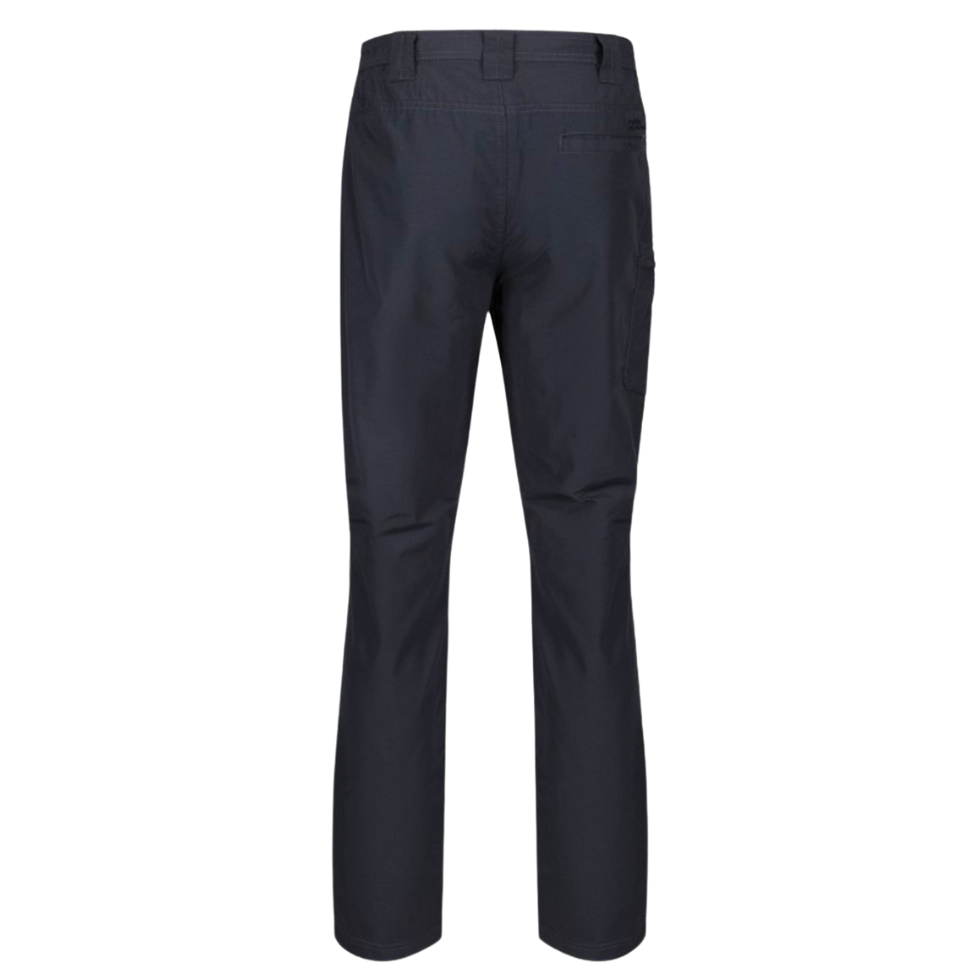 Штани літо Regatta Delgado Trousers RMJ231R-038 Темно-сірий