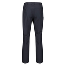 Штани літо Regatta Delgado Trousers RMJ231R-038 Темно-сірий