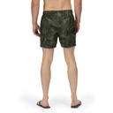 Шорти аква Regatta Loras Swim Short RMM014-V3H Темно-зелений з принтом