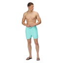 Шорти аква Regatta Mawson SwShortIII RMM016-GIF Бірюзовий