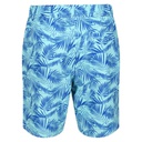 Шорти аква Regatta Hamza Swim Short RMM023-P7P Бірюзовий
