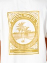 Футболка Rip Curl THE ISLAND CROP TEE GTEND9-3021 Білий з відтінком