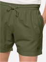 Шорты аква Jack Wolfskin BAY SWIM SHORT M 1505523_4129 Хаки полынь