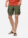 Шорти Jack Wolfskin 365 REBEL SHORT M 1507411_4129 Хакі полин