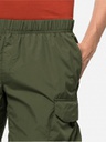 Шорти Jack Wolfskin 365 REBEL SHORT M 1507411_4129 Хакі полин