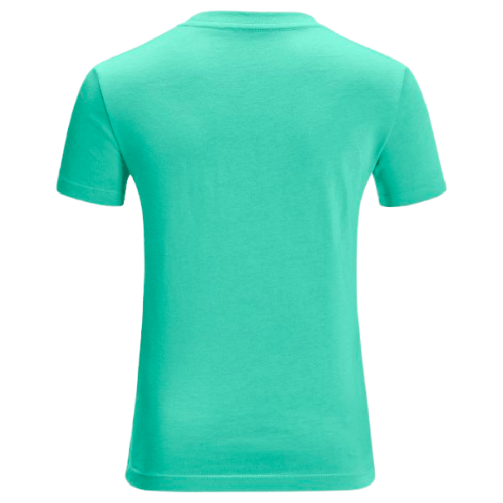 Футболка Jack Wolfskin ESSENTIAL T K 1609391_4124 Зелений