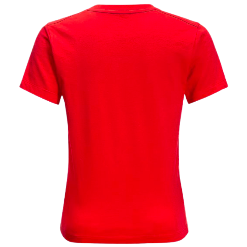 Футболка Jack Wolfskin BRAND WOLF T K 1609421_2015 Червоний