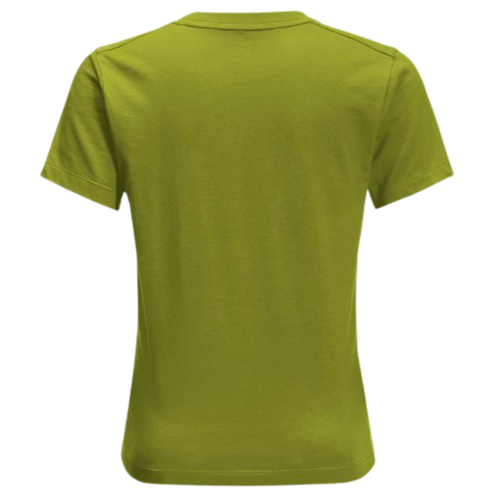 Футболка Jack Wolfskin BRAND WOLF T K 1609421_4410 Зелений