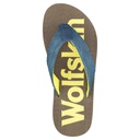 Сланці Jack Wolfskin EEZY M 4039521_1205 Синій/коричневий