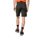 Шорти Jack Wolfskin DESERT VALLEY SHORTS MEN 1504741-5100 Хакі