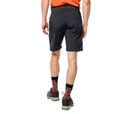 Шорти Jack Wolfskin DESERT VALLEY SHORTS MEN 1504741-6350 Темно-сірий