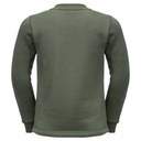 Толстовка Jack Wolfskin ANIMAL PULLOVER K 1609641_5032 Темно-зелений