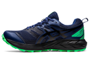 Кросівки для бігу Asics GEL-SONOMA 6 G-TX 11011B048-400