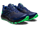 Кросівки для бігу Asics GEL-SONOMA 6 G-TX 11011B048-400