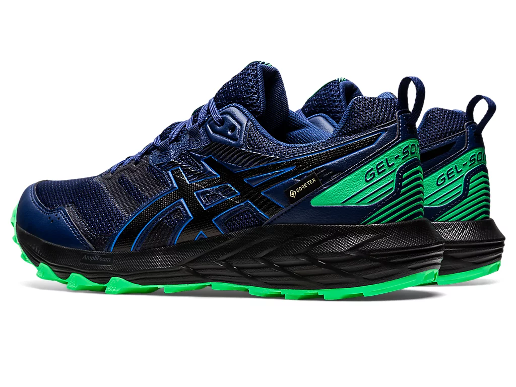 Кросівки для бігу Asics GEL-SONOMA 6 G-TX 11011B048-400