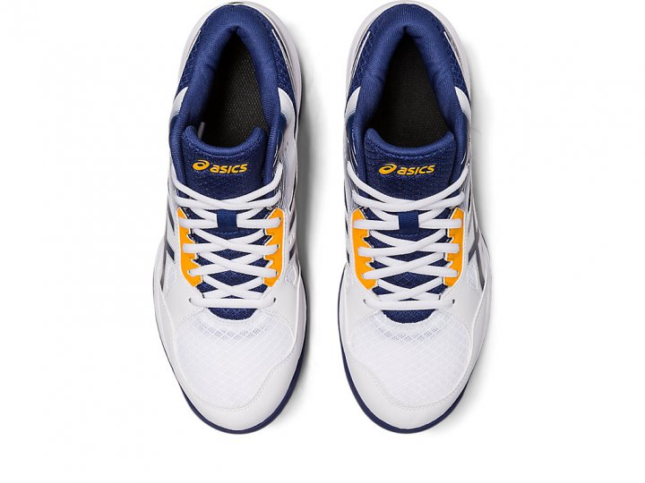 Кросівки для волейболу ASICS GEL-TASK MT 3 1071A078-100