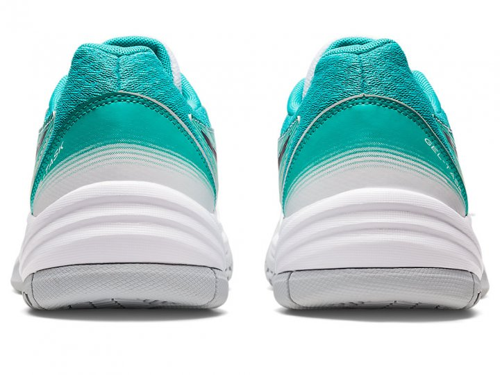 Кросівки для волейболу ASICS GEL-TASK 3 1072A082-100