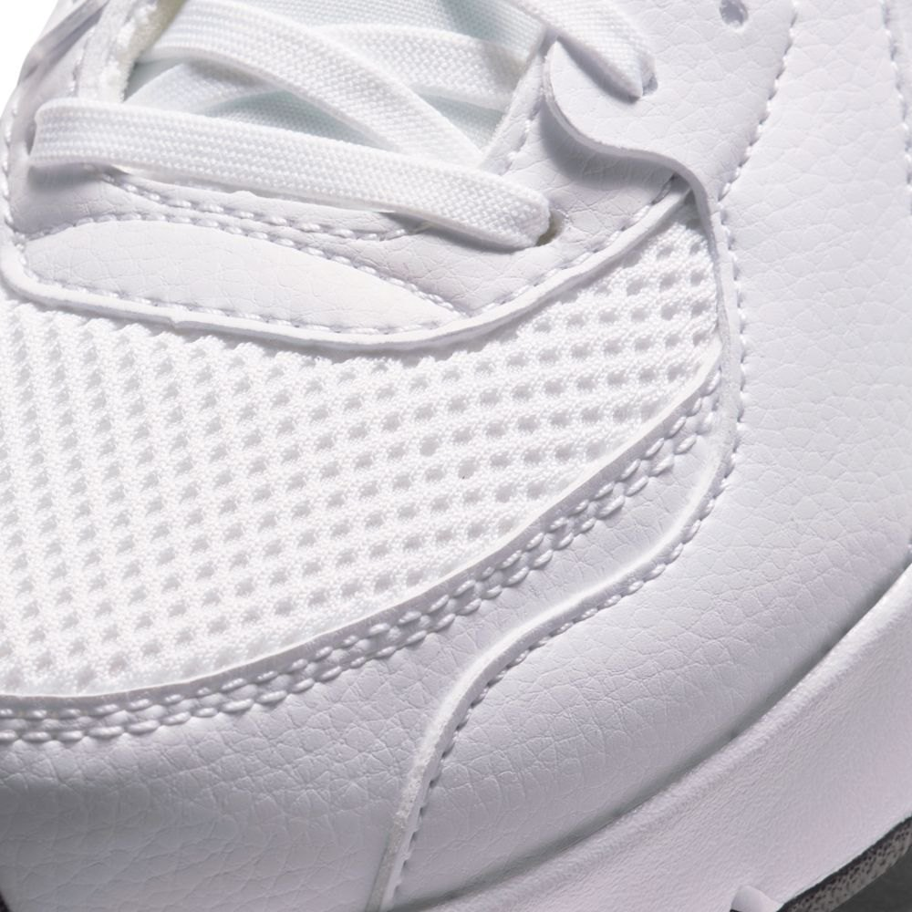 Кросівки WMNS NIKE AIR MAX EXCEE 7 CD5432-101