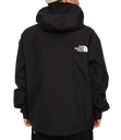 Демісезонна куртка The North Face NF0A7UR9JK31