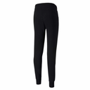 Чоловічі спортивні штани PUMA TEAMGOAL 23 CASUALS PANTS 65658203