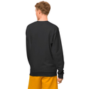Толстовка Jack Wolfskin ESSENTIAL CREWNECK M 1710212_6000