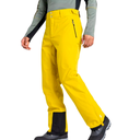 Штани чоловічі гірськолижні Dare 2b Achieve II Pant DMW486R-68L