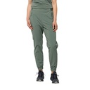 Жіночі штани Jack Wolfskin PRELIGHT PANTS W 1508111_4151
