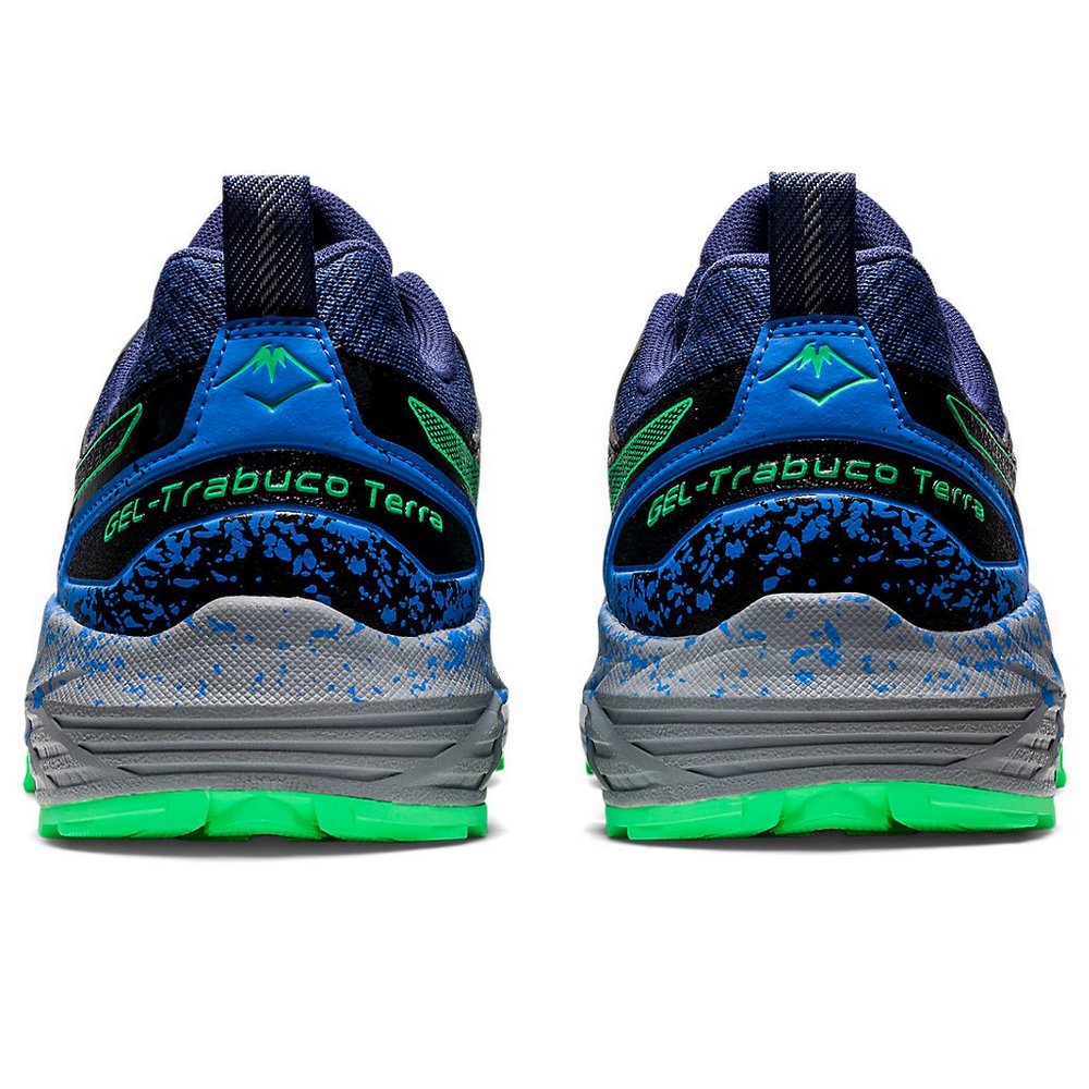 Чоловічі бігові кросівки ASICS GEL-Trabuco Terra 1011B029-409
