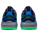 Чоловічі бігові кросівки ASICS GEL-Trabuco Terra 1011B029-409