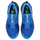 Чоловічі бігові кросівки ASICS GEL-SONOMA 6 1011B050-412