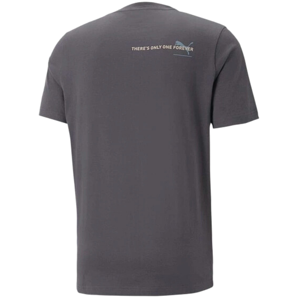 Чоловіча футболка PUMA ESS BETTER TEE 67329675