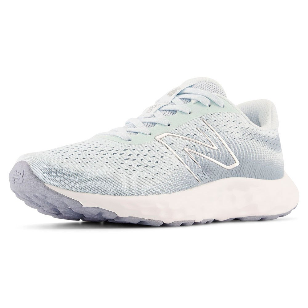 Жіночі бігові кросівки New Balance 520 V W520LN8