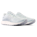 Жіночі бігові кросівки New Balance 520 V W520LN8