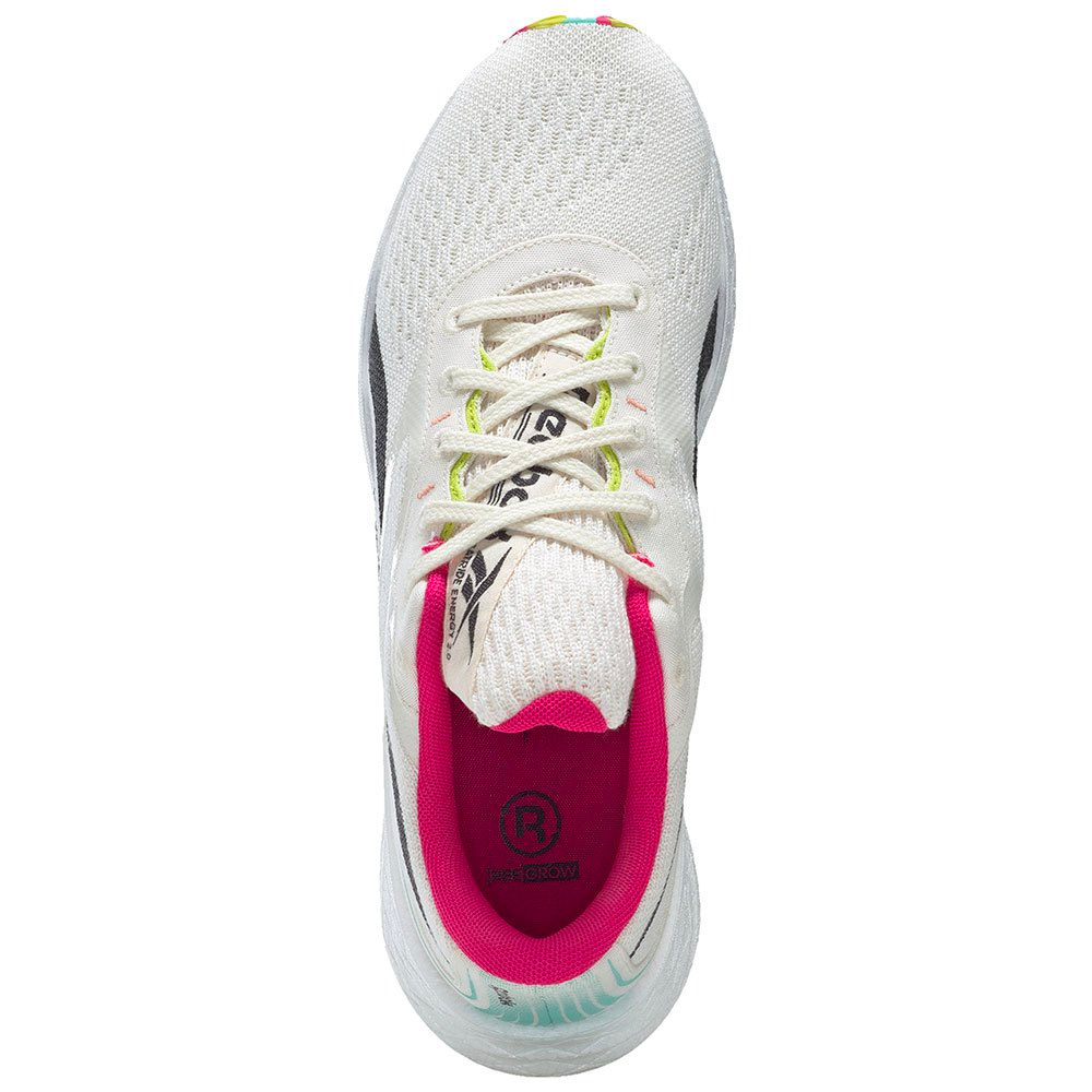 Чоловічі бігові кросівки REEBOK FLOATRIDE ENERGY GROW G55971