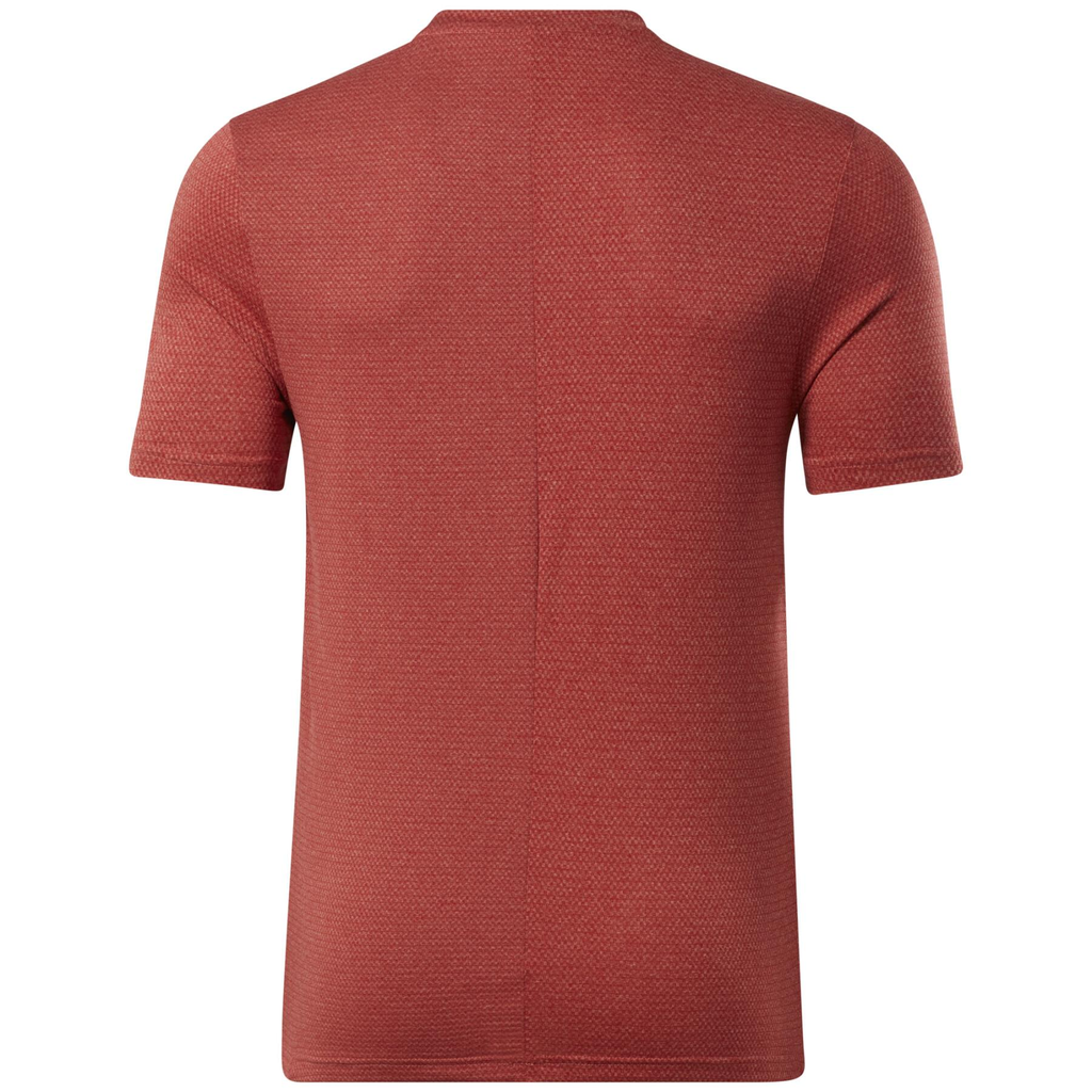 Чоловіча футболка REEBOK WORKOUT READY MELANGE HA9006